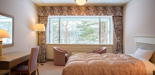 Western style room